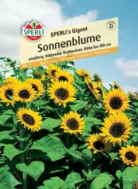 slonecznik-sperli-s-gigant-nasiona-premium-sperli