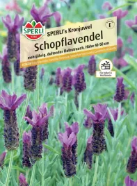 lawenda-francuska-sperli-s-kronjuwel-nasiona-premium-sperli