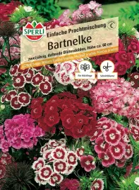 gozdzik-brodaty-einfache-prachtmischung-nasiona-premium-sperli