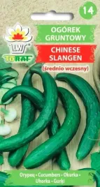 ogorek-wezowy-chinese-slangen-5g-nasiona-ogorka-ogorkow