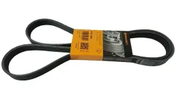 pasek-wielorowkowy-citroen-berlingo-conti-6pk1680
