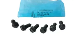 zestaw-srub-docisku-sprzegla-oryg-vw-audi-seat-skoda-6-szt-n90320701