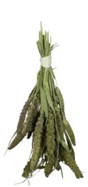 jr-farm-proso-senegalskie-zielone-50-g