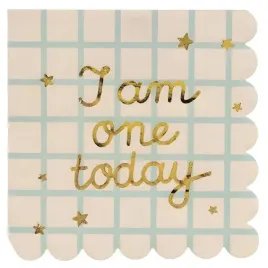 serwetki-na-roczek-papierowe-i-am-one-today-mis-bezowe-kratka-12szt-33cm