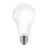zarowka-led-e27-175w-6500k-a67-stan-nowy