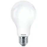 zarowka-led-e27-175w-2700k-a67-stan-nowy