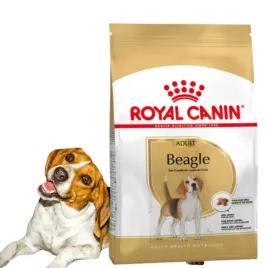 royal-canin-adult-beagle-12kg