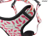 amiplay-szelki-regulowane-discovery-behappy-l-watermelon-marka-amiplay
