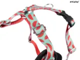 amiplay-szelki-regulowane-discovery-behappy-l-watermelon-kolor-czerwony