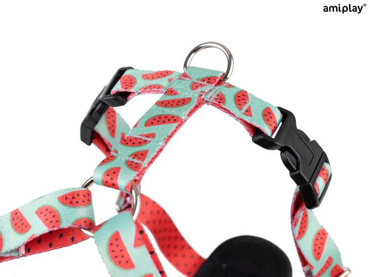 amiplay-szelki-regulowane-discovery-behappy-l-watermelon-wielkosc-psa-sredni-pies