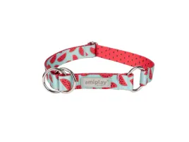 amiplay-obroza-polzaciskowa-behappy-xl-watermelon