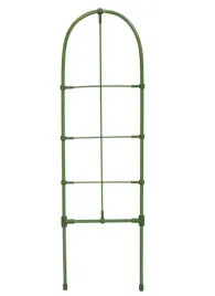 podpora-drabinkowa-do-roslin-60cm-zielona-bradas-9647