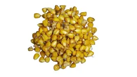 ttcarp-kukurydza-gotowe-ziarna-1kg