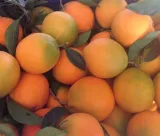pomarancze-1-kg-stan-opakowania-oryginalne