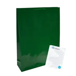 torba-papierowa-laminowane-zielona-torebki-na-prezent-30x9x40-zestaw-100szt