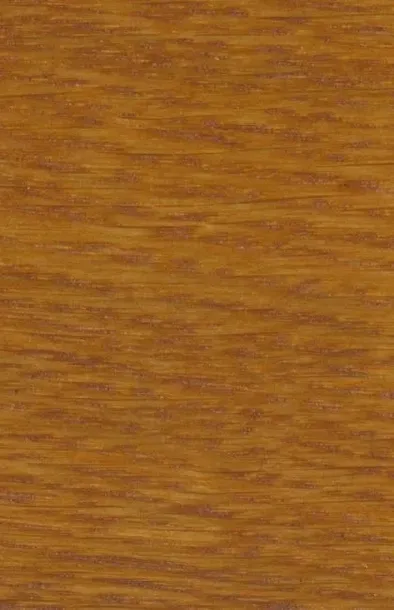 bejca-nitro-oranz-23-01-poj-500-ml-czas-schniecia-0-15-h