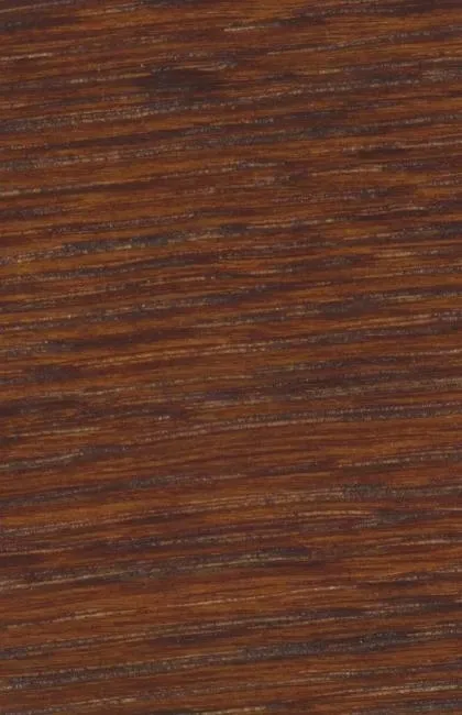 bejca-nitro-orzech-22-68-poj-500-ml