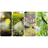 opryskiwacz-akumulatorowy-plonos-pl-603-stan-nowy-cisnienie-max-5-5-bar