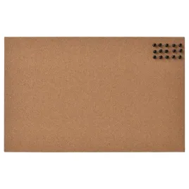 tablica-korkowa-pinezki-52x33-cm-ikea-flonsa