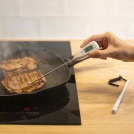elektroniczny-termometr-kulinarny-szpilkowy-termosonda-50c-300c-browin