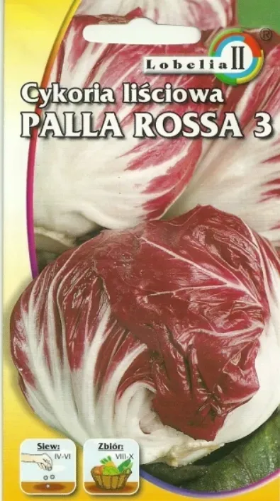 cykoria-palla-rossa3-5g-l-rodzaj-rosliny-inny