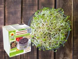 kielkownica-toraf-naczynie-do-kielkow-do-uprawy-w-domu-3-szalki-na-kielki