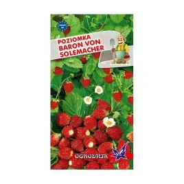 poziomka-baron-von-solemacher-02g-o