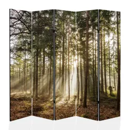 parawan-zaslona-salon-fryzjer-scianka-pokoju-225x172-cm-krajobraz-las