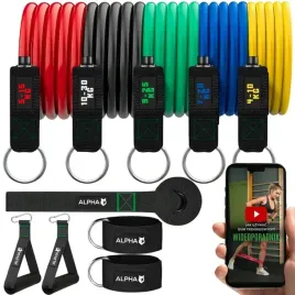 zestaw-5-gum-oporowych-do-cwiczen-gumy-fitness-bands-ekspander-alpha