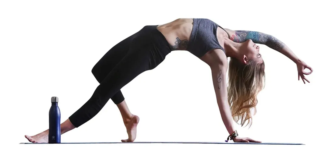 gaiam-skakanka-62219