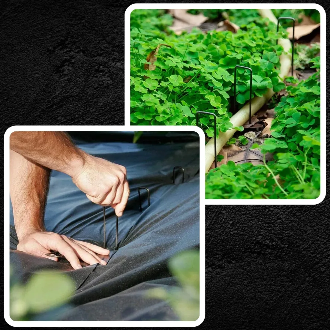 szpilki-do-agrowlokniny-kotwy-agrotkaniny-agrowloknina-15cm-100szt-25mm