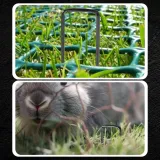 szpilki-do-agrowlokniny-kotwy-agrotkaniny-agrowloknina-15cm-100szt-25mm-stan-opakowania-oryginalne-liczba-sztuk-w-opakowaniu-100-szt