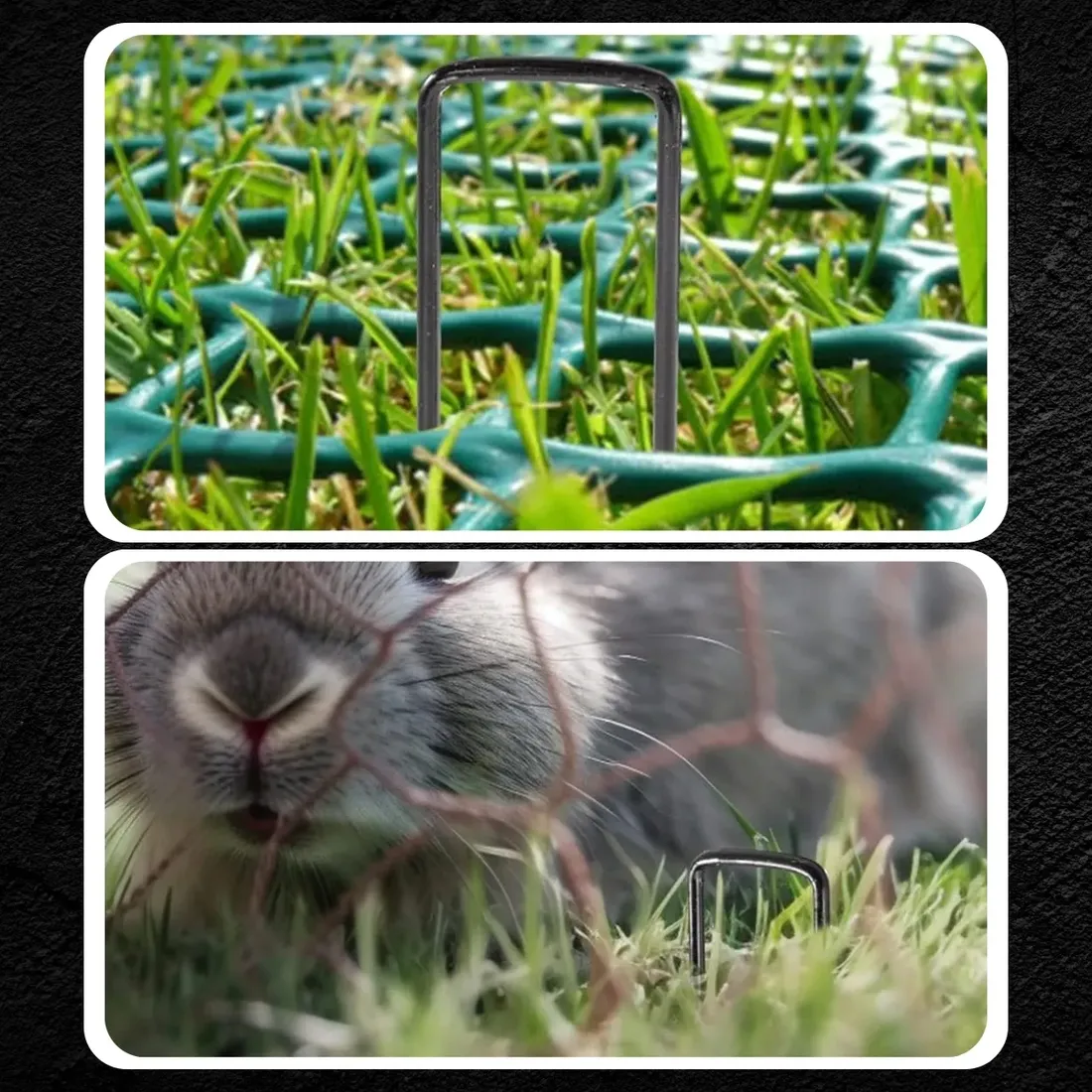 szpilki-do-agrowlokniny-kotwy-agrotkaniny-agrowloknina-15cm-100szt-25mm-stan-nowy