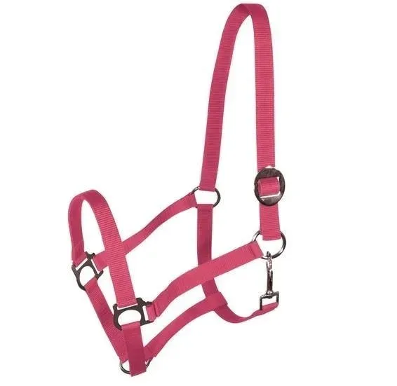 kantar-harmony-koralowy-full