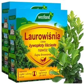 westland-nawoz-do-laurowisni-i-innych-zywoplotow-lisciastych-krzewienie-2kg