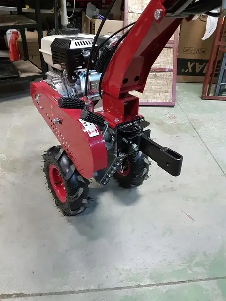 glebogryzarka-kultywator-holida-wmx650-plug-producent-silnika-holida