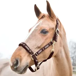 kantar-nylonowy-dla-konia-horze-hampton-podszywany-neoprenem-brazowy-cob