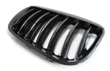 grill-przedni-nerki-polysk-do-bmw-x5-e53-03-06-producent-czesci-tuning-tec