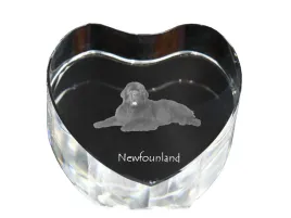 nowofundland-nowofoundland-wodolaz-zdjecie-psa-w-krysztale-krysztalowe