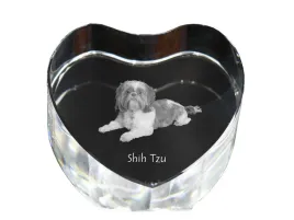 shih-tzu-shi-tsu-shi-tzu-szi-cu-szitzu-zdjecie-psa-w-krysztale-krysz