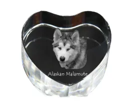 alaskan-malamute-zdjecie-psa-w-krysztale-krysztalowe-serce-wyjatkowa-ra