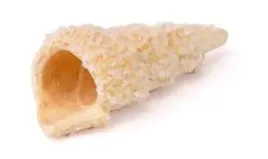 foremki-do-pieczenia-rurki-do-kremu-12cm-forma-do-ciastek-duze-10szt