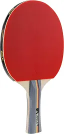 rakietka-do-tenisa-stolowego-bat-joola-team-school-dla-poczatkujacych