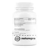 naturepro-berberyna-97percent-150-mg-60-kapsulek-postac-kapsulki