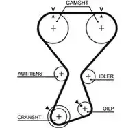 gates-t313-pasek-rozrz
