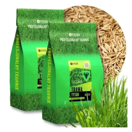 trawa-tytan-na-gleby-suche-trudne-10kg-bardzo-wytrzymala-nasiona-na-trawnik