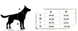 szelki-dla-psa-labrador-golden-l-marka-tailup
