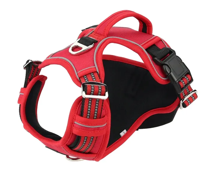 szelki-dla-psabasset-dalmatynczyk-mocne-rozm-m-rodzaj-spacerowe