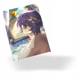 plakat-honkai-star-rail-dr-ratio-do-wyboru