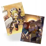 plakat-honkai-star-rail-hook-do-wyboru
